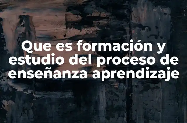 Que es Formación y Estudio Del Proceso de Enseñanza Aprendizaje