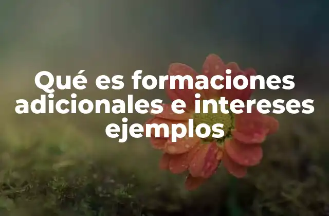 Qué es Formaciones Adicionales e Intereses Ejemplos