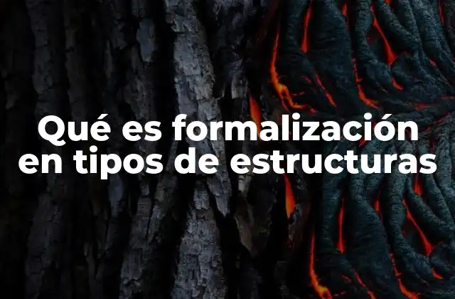 Qué es Formalización en Tipos de Estructuras