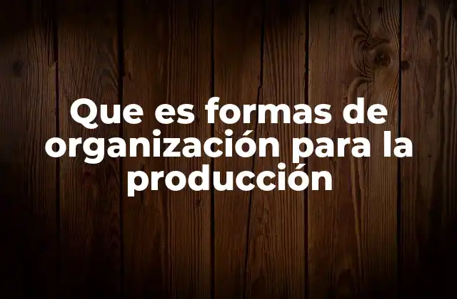 Que es Formas de Organización para la Producción