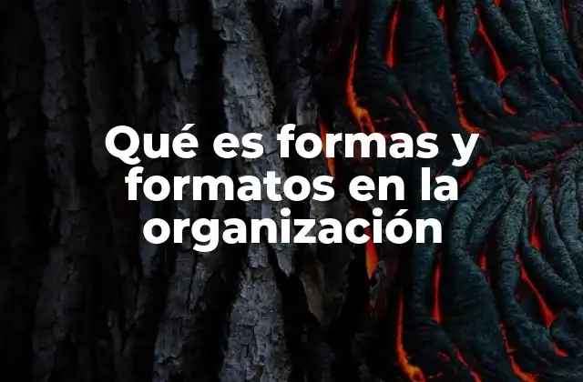 Qué es Formas y Formatos en la Organización
