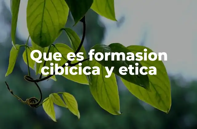 Que es Formasion Cibicica y Etica