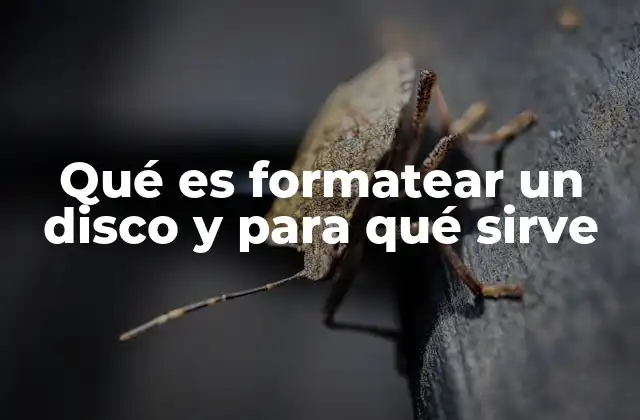 Qué es Formatear un Disco y para Qué Sirve