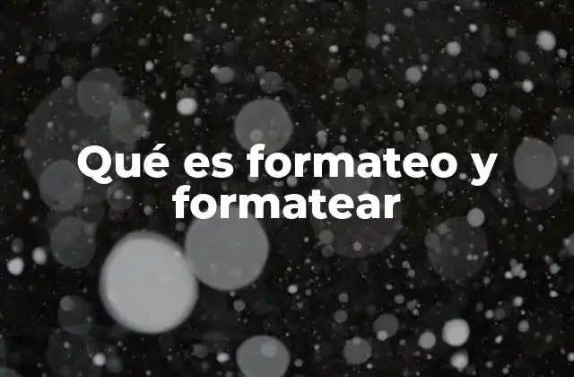 Qué es Formateo y Formatear