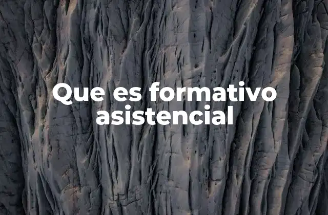 La importancia del acompañamiento en el proceso formativo