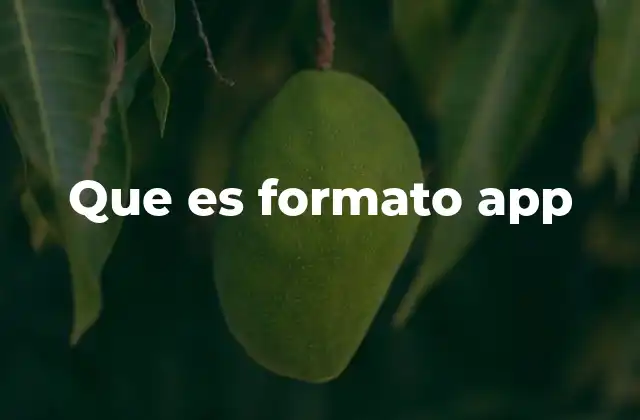 Que es Formato App