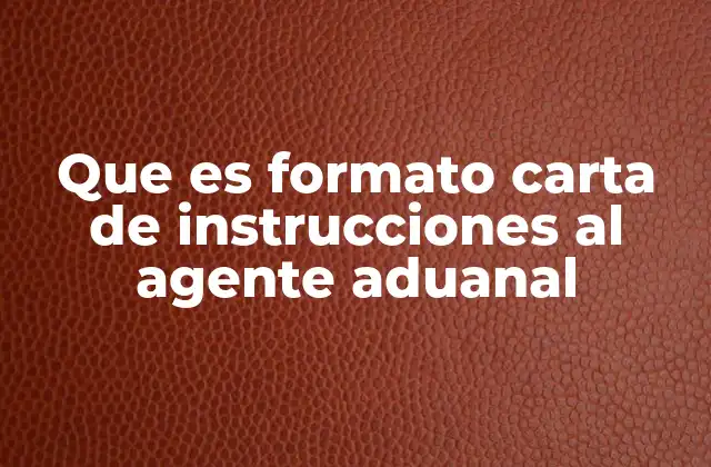 Que es Formato Carta de Instrucciones Al Agente Aduanal