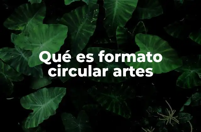 Qué es Formato Circular Artes