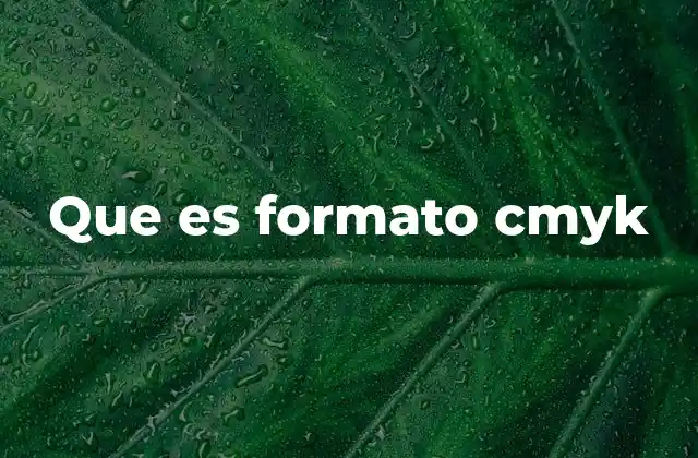 Que es Formato Cmyk