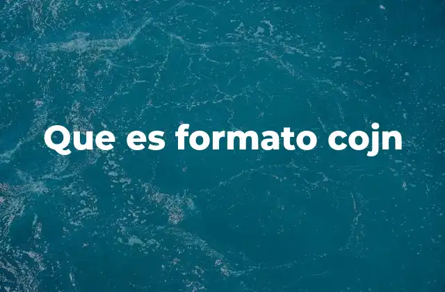 Que es Formato Cojn