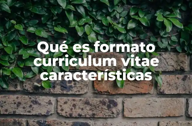 Qué es Formato Curriculum Vitae Características