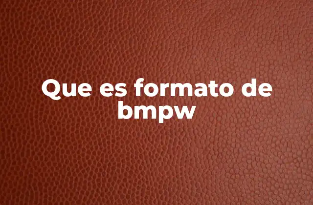 Que es Formato de Bmpw