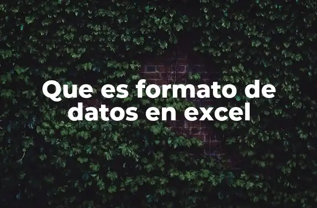 Que es Formato de Datos en Excel