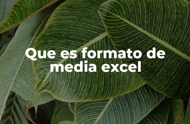 Que es Formato de Media Excel
