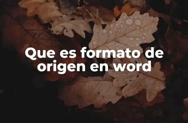 Que es Formato de Origen en Word 2 Cómo el formato de origen mejora la eficiencia en la edición de documentos
