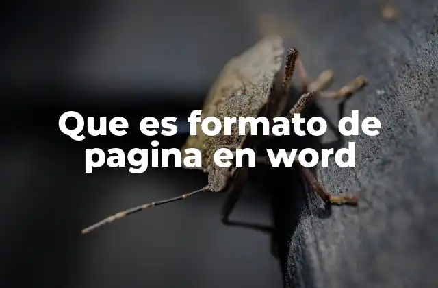 Que es Formato de Pagina en Word