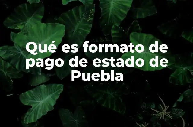 Importancia del formato de pago en el gobierno estatal