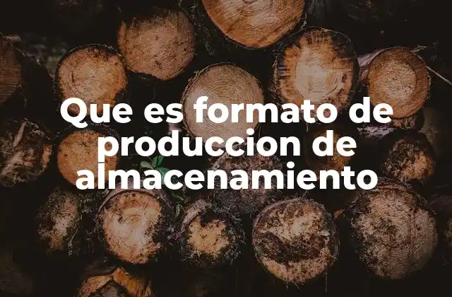 Que es Formato de Produccion de Almacenamiento