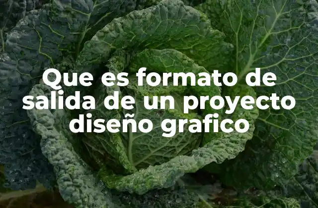 Cómo elegir el formato de salida según el uso del proyecto