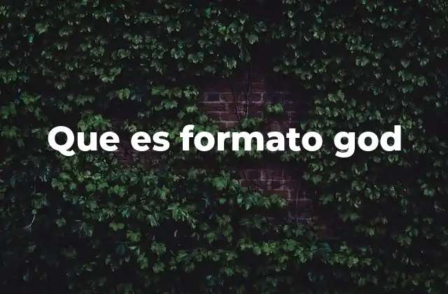 Que es Formato God 2 Cómo funciona el formato god en el contexto del desarrollo de software