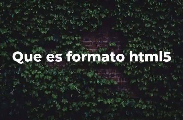 Que es Formato Html5
