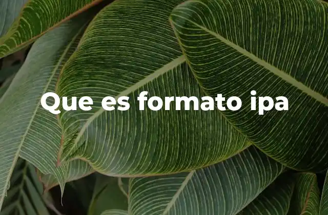 Que es Formato Ipa