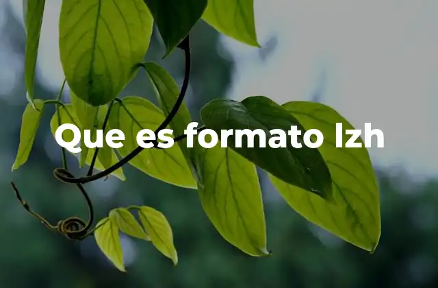 Uso del formato LHZ en sistemas antiguos