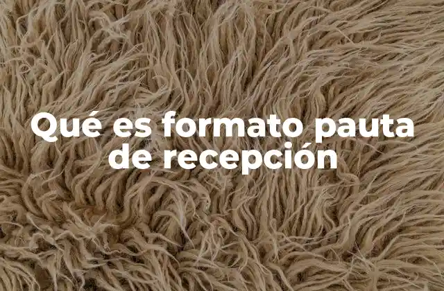 Qué es Formato Pauta de Recepción