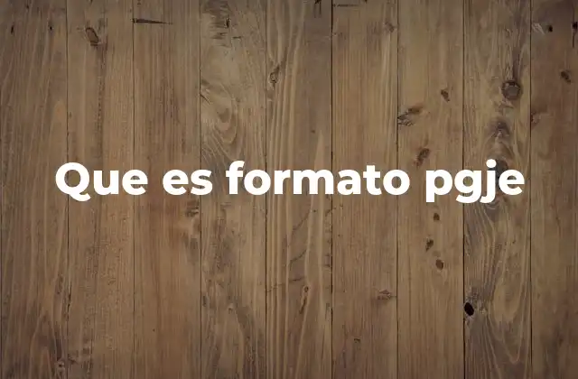 Que es Formato Pgje