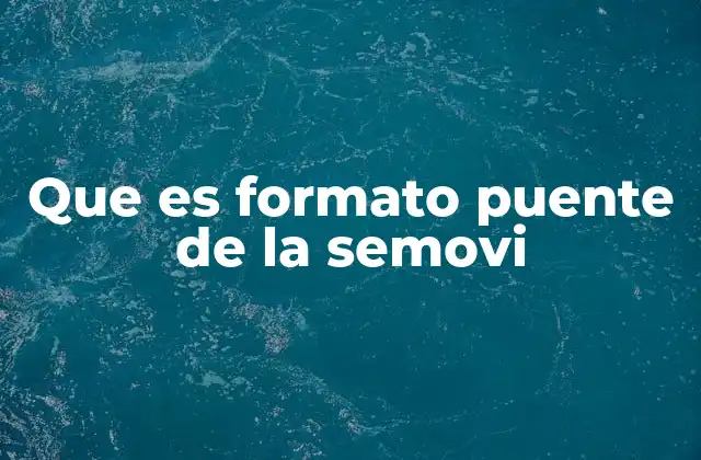 Que es Formato Puente de la Semovi
