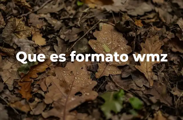 Que es Formato Wmz