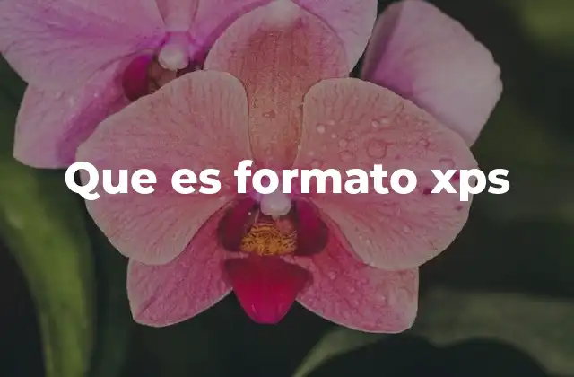 Que es Formato Xps 2 Uso del formato XPS en el entorno digital