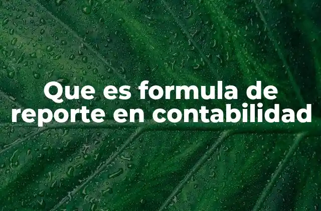 Que es Formula de Reporte en Contabilidad