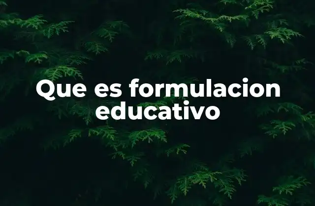 El rol de la formulación en el diseño curricular