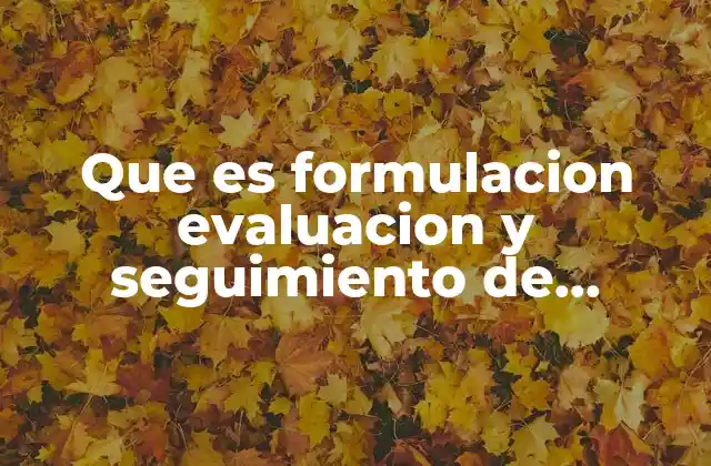 Que es Formulacion Evaluacion y Seguimiento de Alternativas