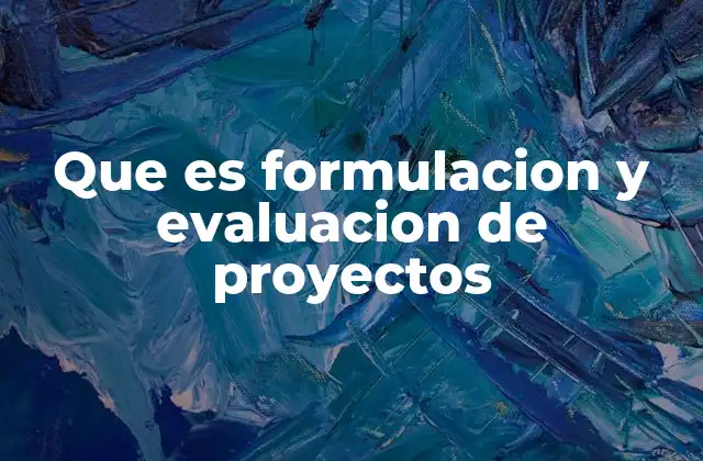 Que es Formulacion y Evaluacion de Proyectos