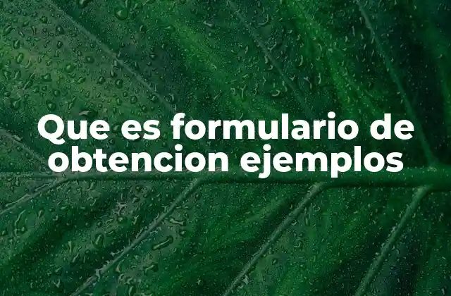 Que es Formulario de Obtencion Ejemplos