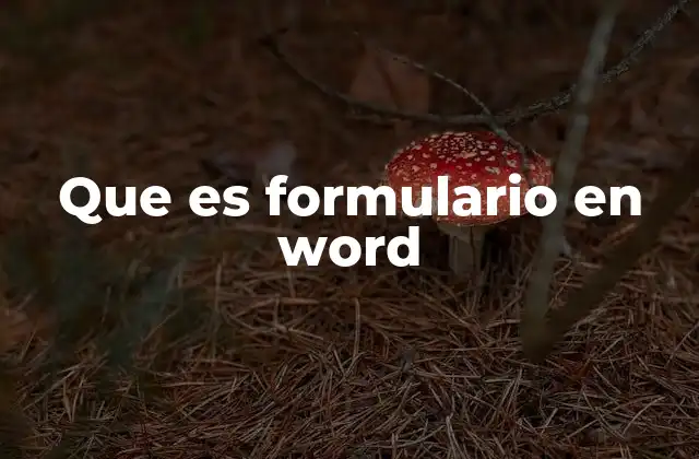 Que es Formulario en Word
