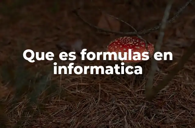 Que es Formulas en Informatica