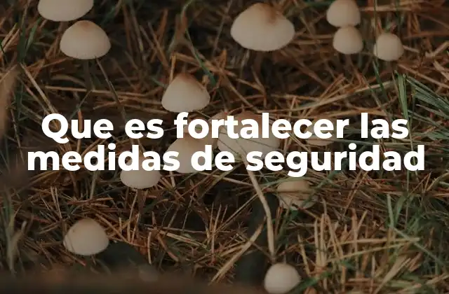 Que es Fortalecer las Medidas de Seguridad