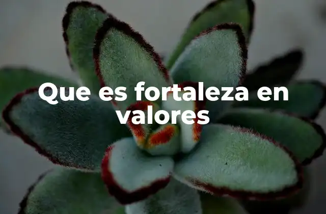 Que es Fortaleza en Valores