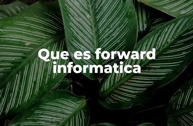 Que es Forward Informatica