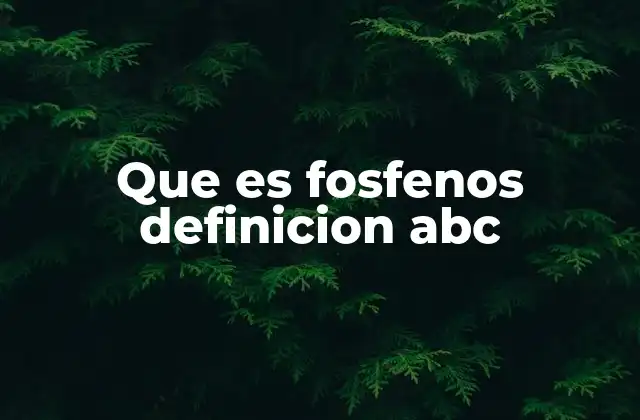 Los fosfenos y la percepción visual