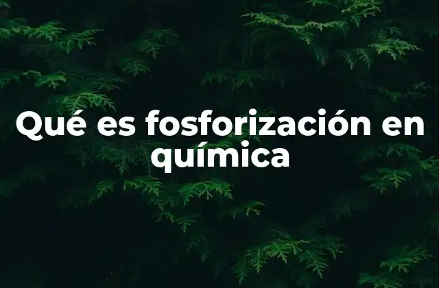 Qué es Fosforización en Química