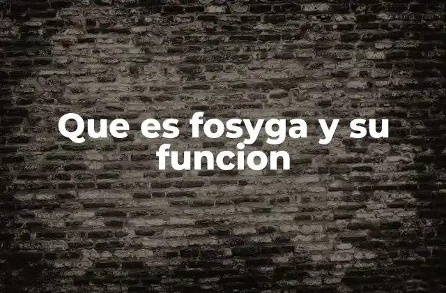 Que es Fosyga y Su Funcion
