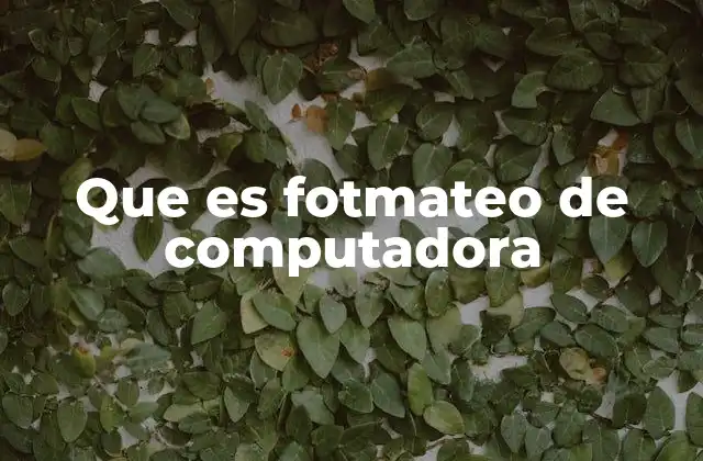 Que es Fotmateo de Computadora