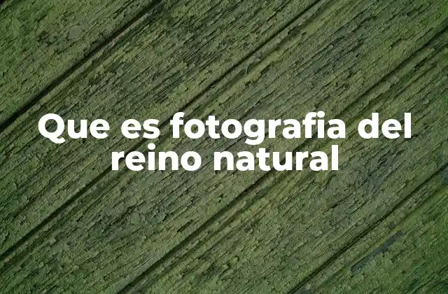 Que es Fotografia Del Reino Natural
