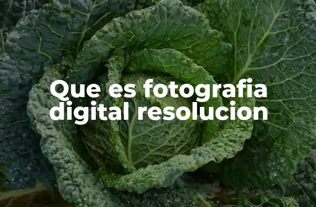 Que es Fotografia Digital Resolucion