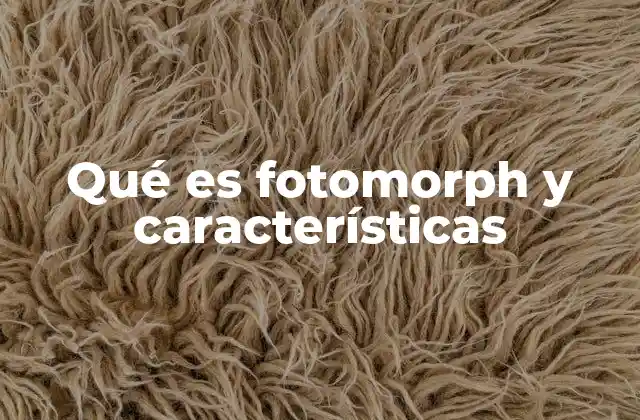Qué es Fotomorph y Características