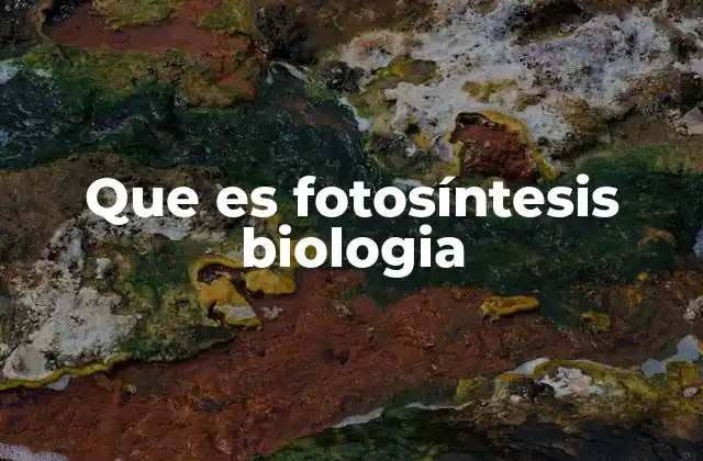 Que es Fotosíntesis Biologia